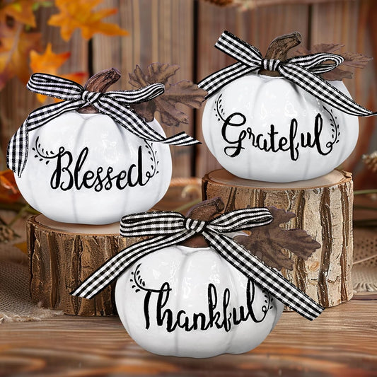 TURNMEON Fall Pumpkin Decor, Fall Thanksgiving Decorations for Home, Set of 3 Th